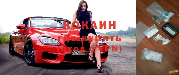 дурь Бородино