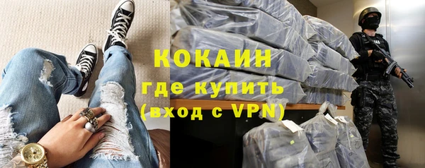 дурь Бородино