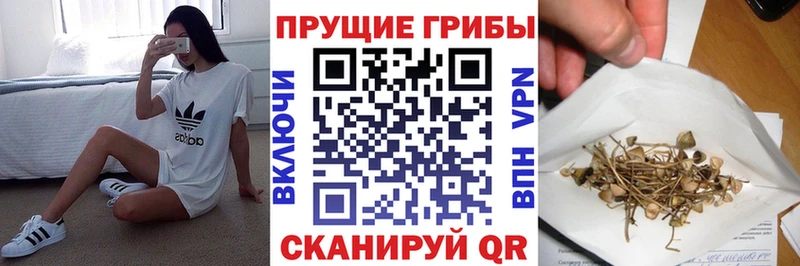 кракен зеркало  Ирбит  Галлюциногенные грибы Cubensis 